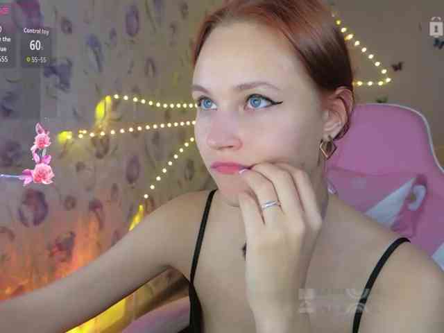 Armura webcam