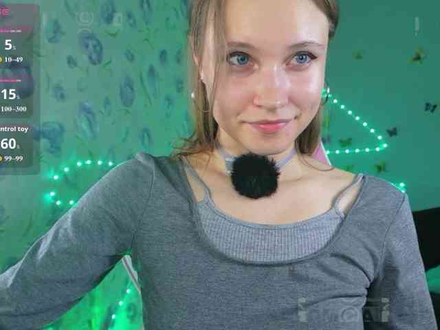 Armura webcam