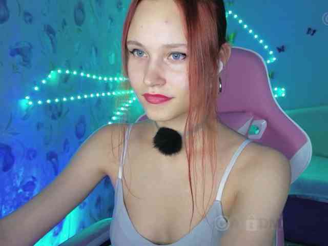 Armura webcam
