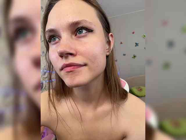 Armura webcam