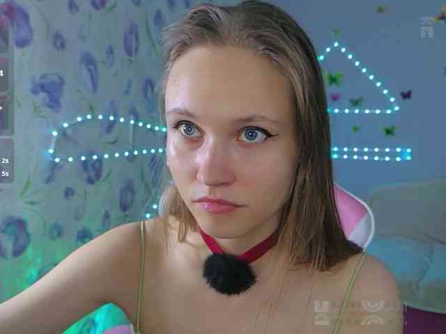 Armura webcam