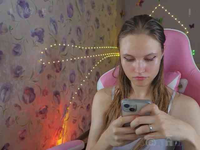 Armura webcam