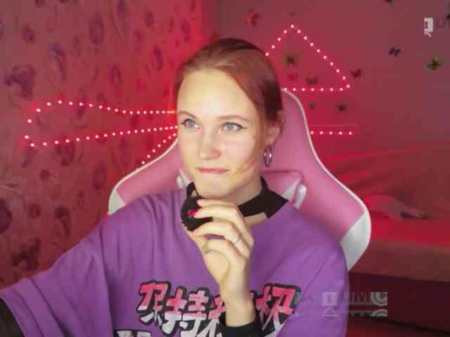 Armura webcam