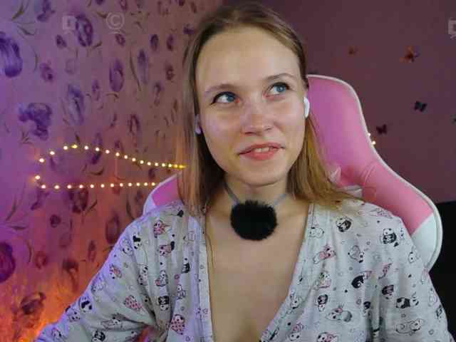 Armura webcam