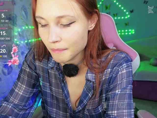 Armura webcam