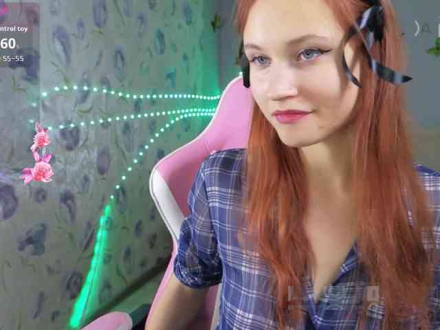 Armura webcam