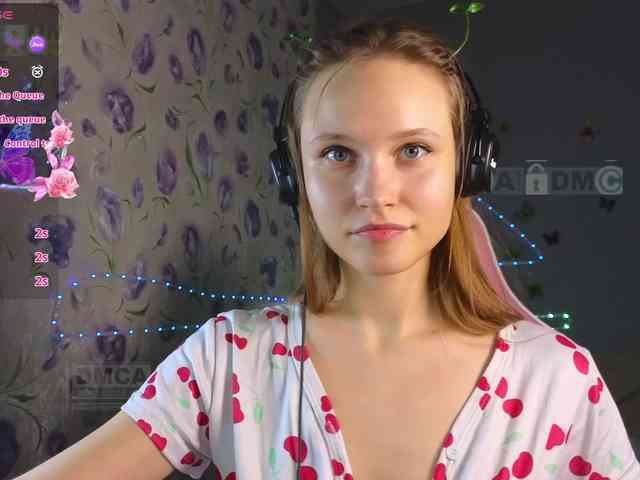 Armura webcam