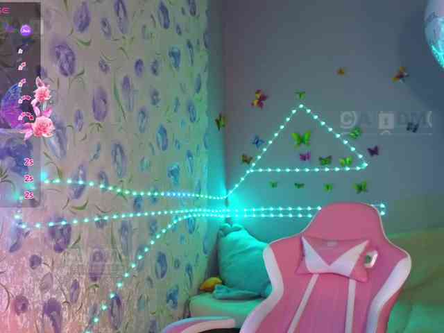 Armura webcam
