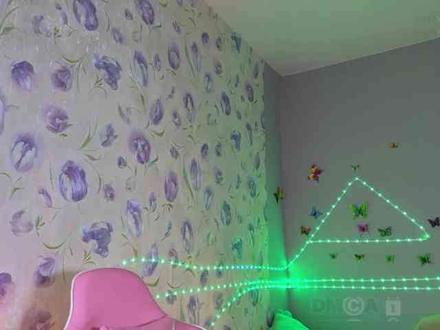 Armura webcam