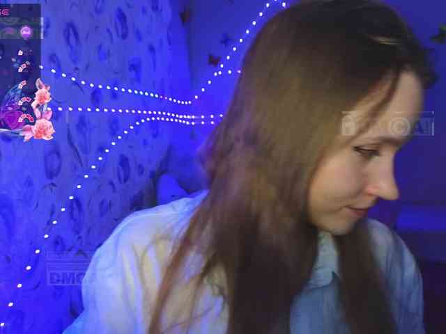 Armura webcam