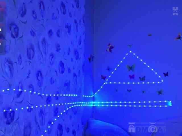 Armura webcam
