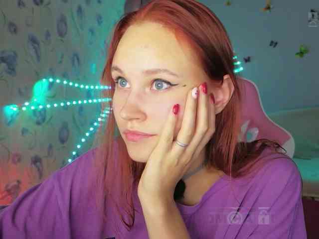 Armura webcam