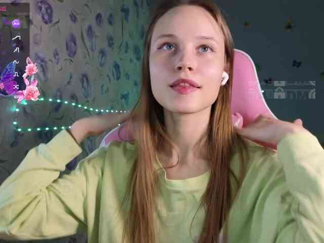 Armura webcam