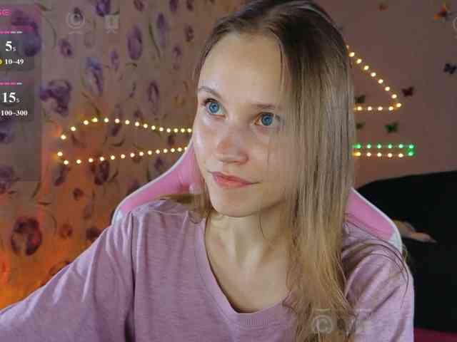 Armura webcam
