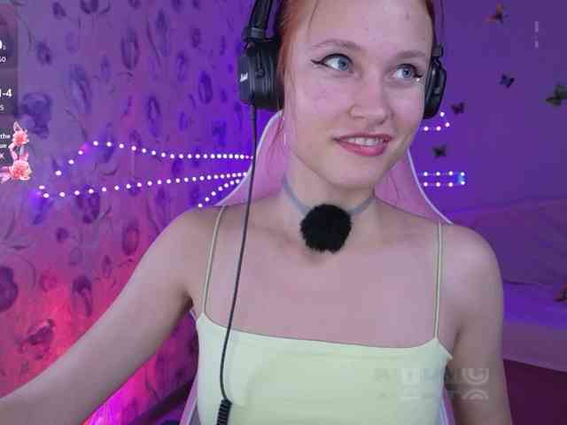 Armura webcam