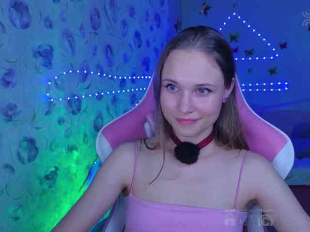 Armura webcam