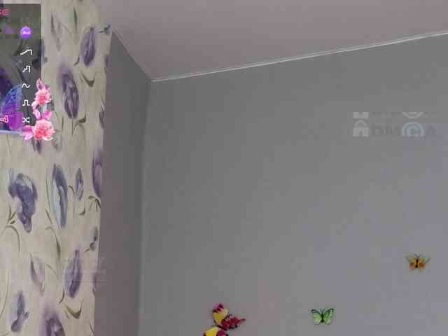 Armura webcam