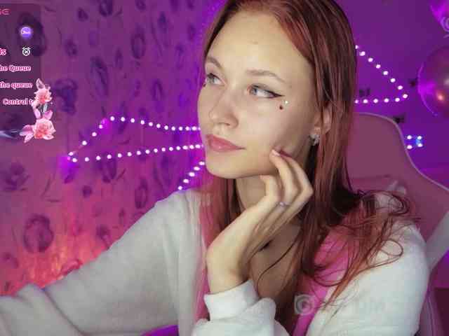 Armura webcam