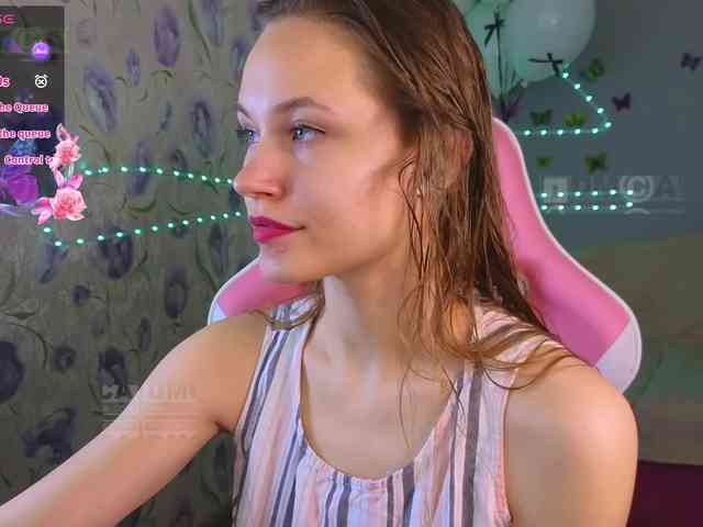 Armura webcam