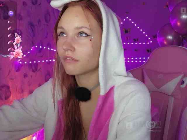 Armura webcam