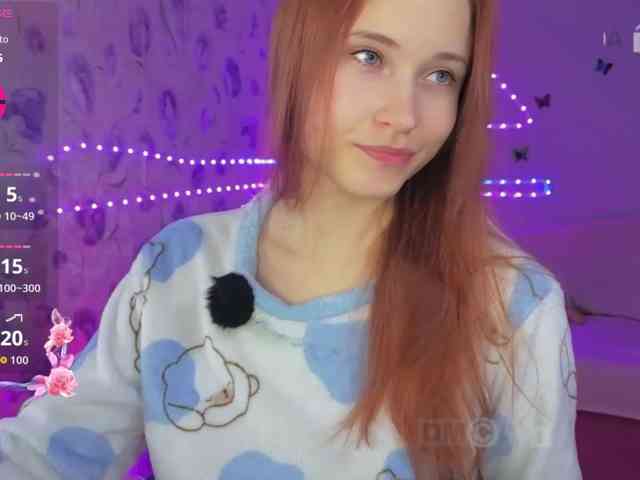 Armura webcam