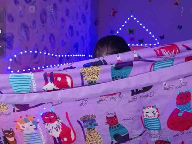 Armura webcam