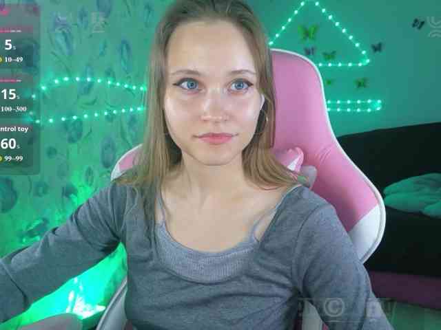 Armura webcam