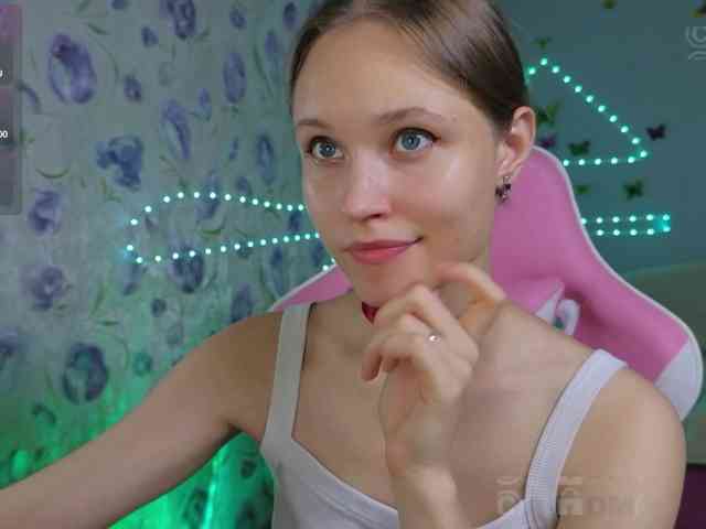Armura webcam