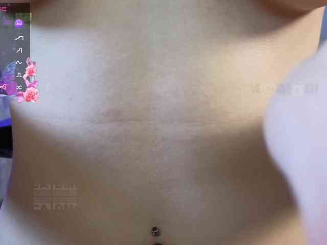 Armura webcam
