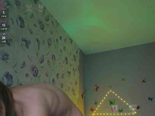 Armura webcam