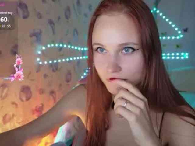 Armura webcam