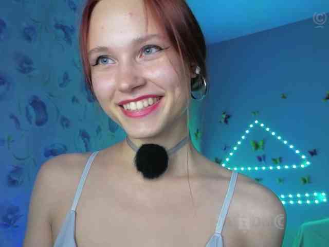 Armura webcam