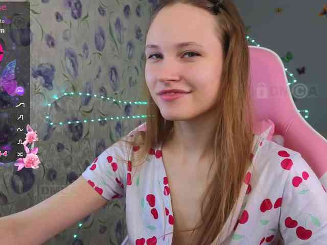 Armura webcam