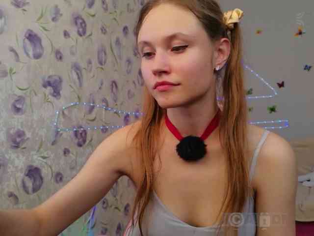 Armura webcam