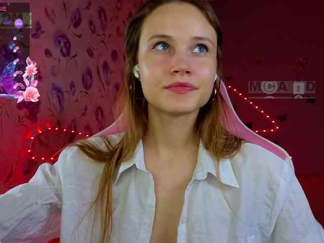 Armura webcam