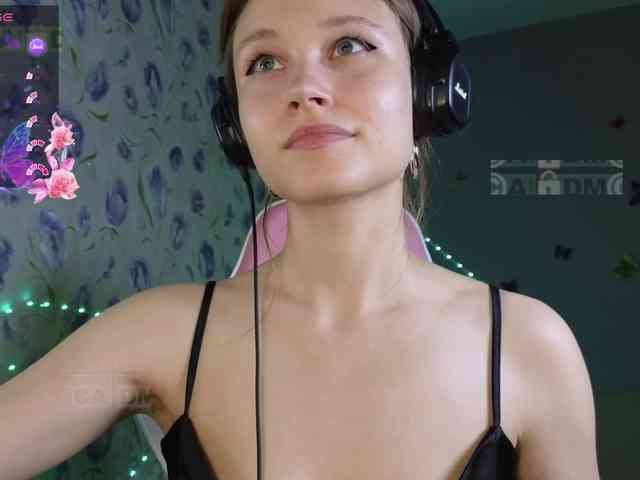 Armura webcam