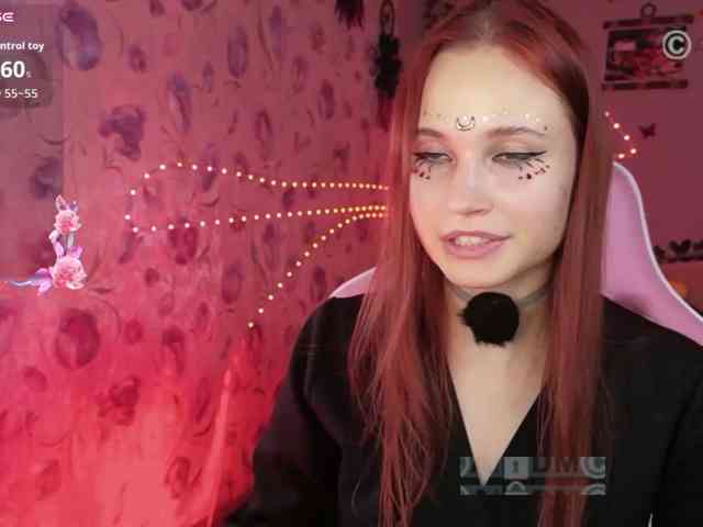 Armura webcam