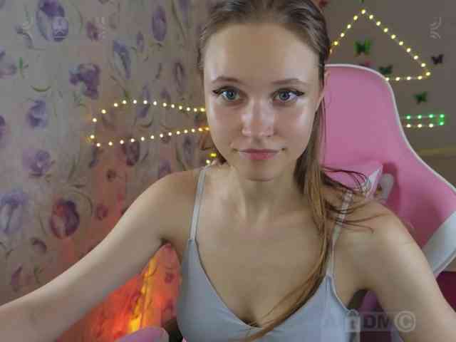 Armura webcam