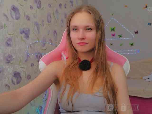Armura webcam