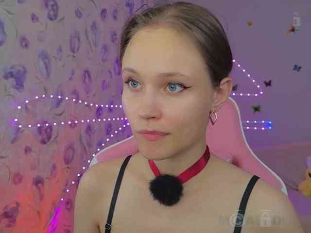 Armura webcam