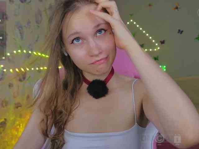 Armura webcam