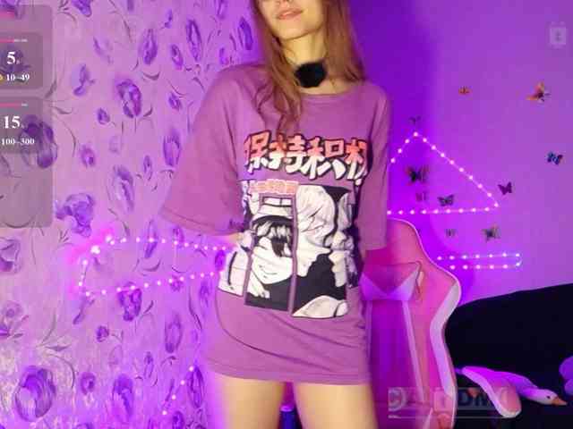 Armura webcam