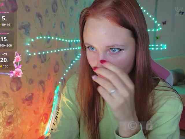 Armura webcam