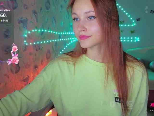 Armura webcam