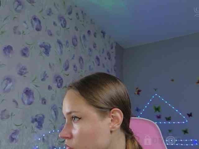 Armura webcam