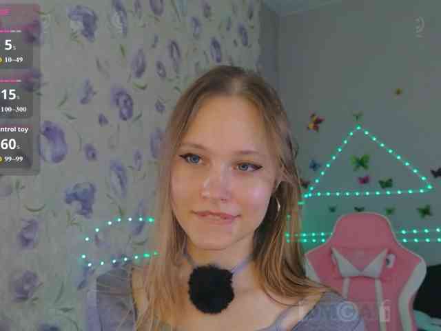 Armura webcam