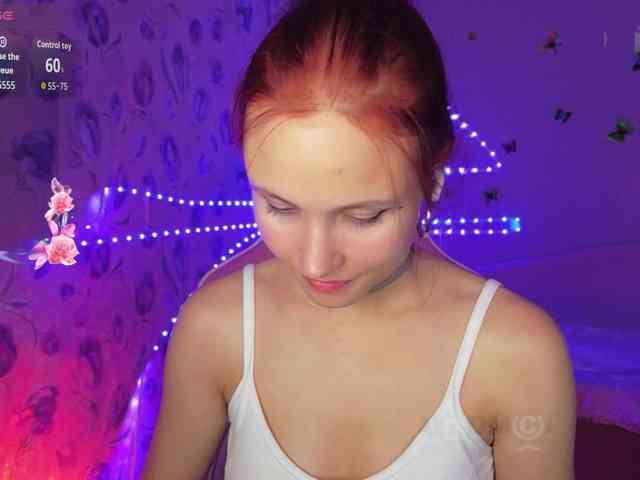 Armura webcam