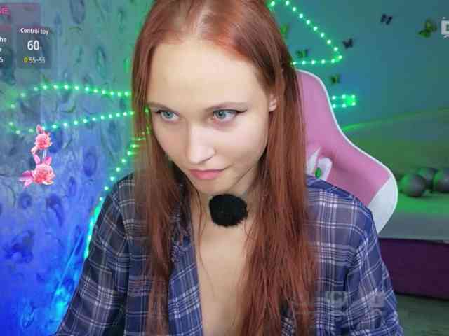 Armura webcam