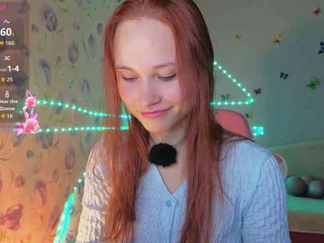 Armura webcam