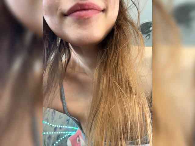 Armura webcam